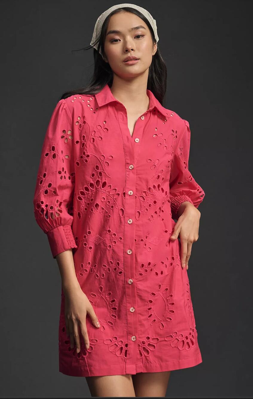 New Anthropologie Long-Sleeve Embroidered Pink Mini Dress - Small